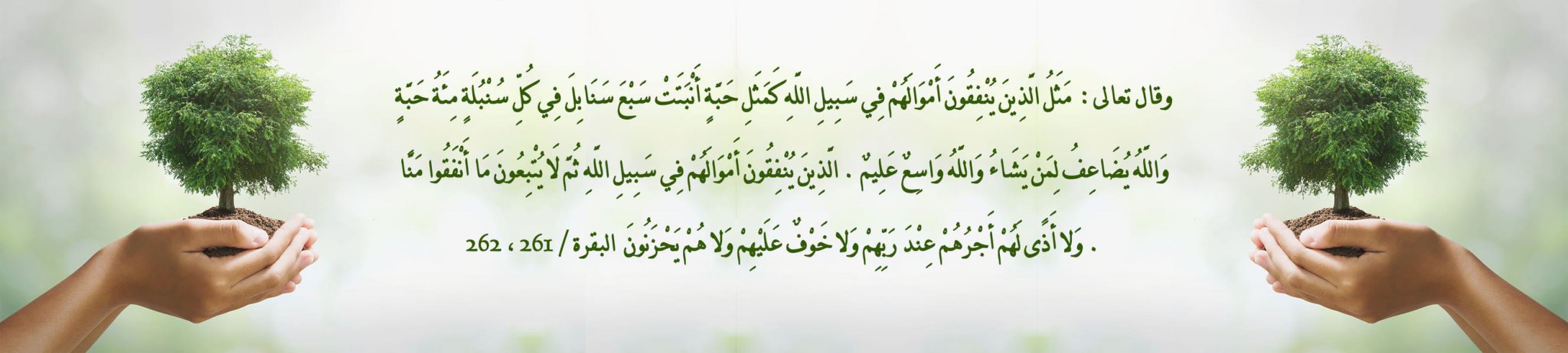 جمعية مرضى قلب الأطفال - قلبي الصغير